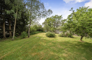Photo 23- click for photo gallery